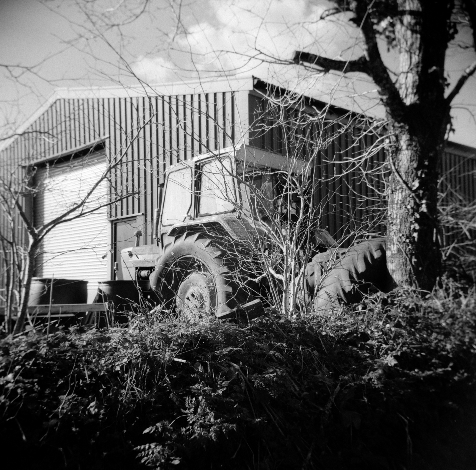 Farm Shed